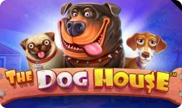 Planetwin365 Casino offre il gioco online The Dog House